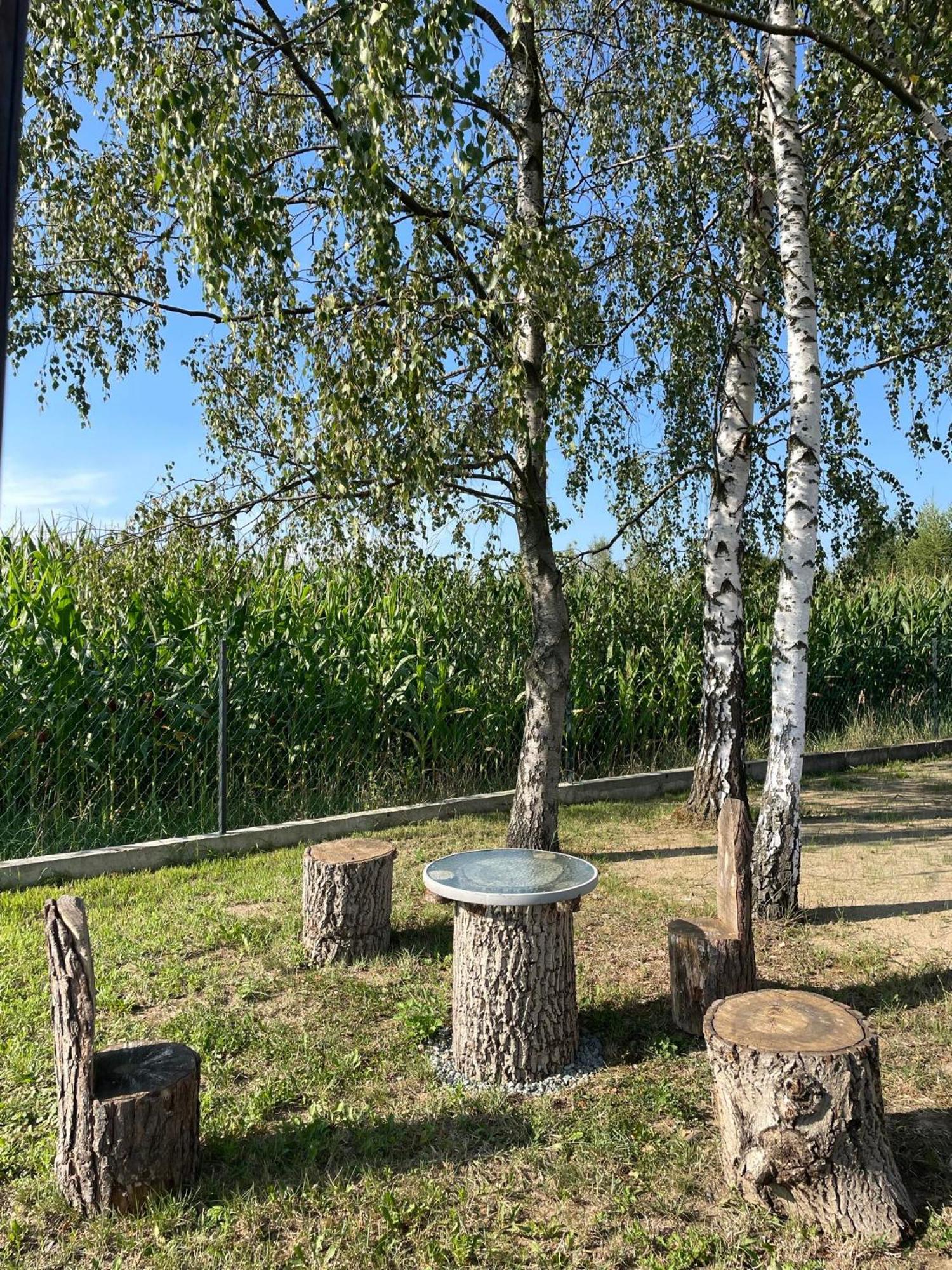 Apartamenty Zator Energy Rest Exteriör bild